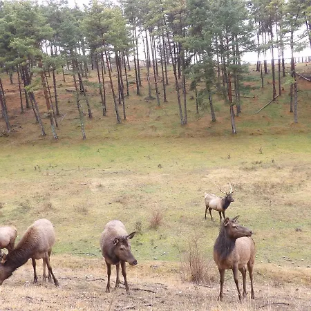 公寓 L'oustalet De Mamy