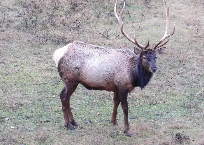 L'oustalet De Mamy Apartamento Dourbies